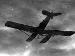 W.29 with modified tailplane in flight (AL0225 - 36)